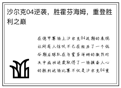 沙尔克04逆袭，胜霍芬海姆，重登胜利之巅